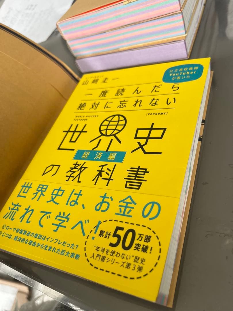 【まとめ売り】カバー付 山崎圭一 世界史・日本史の教科書