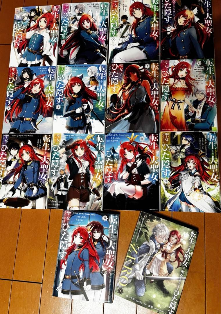 転生した大聖女は、聖女であることをひた隠す 1-13巻 既刊全巻セットアニメ化