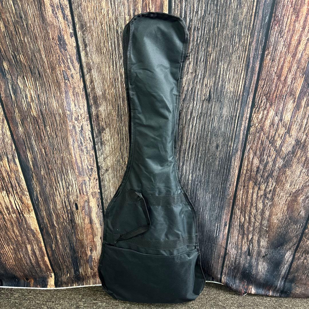 BLITZ ブリッツ エレキギター BY AriaProII