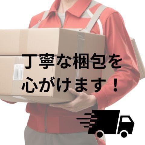 ムサシ 乾電池式どこでもセンサーカメラ 防犯カメラ 監視カメラ 配線不要 防犯b