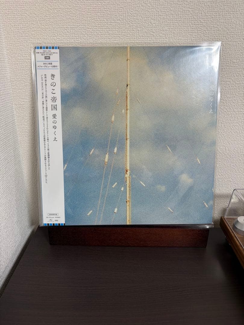 新品 1stプレス きのこ帝国 愛のゆくえ 廃盤レコード LP アナログ